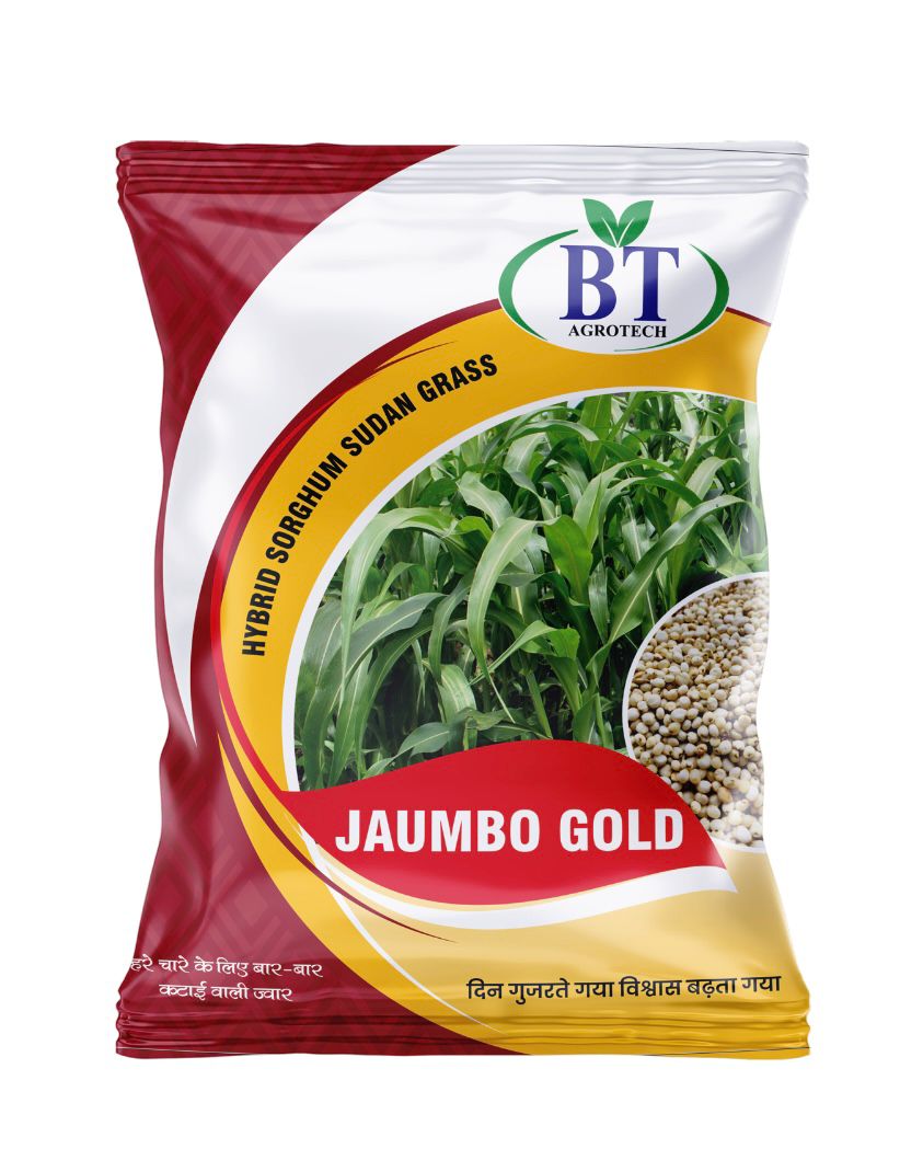 Jumbo Gold