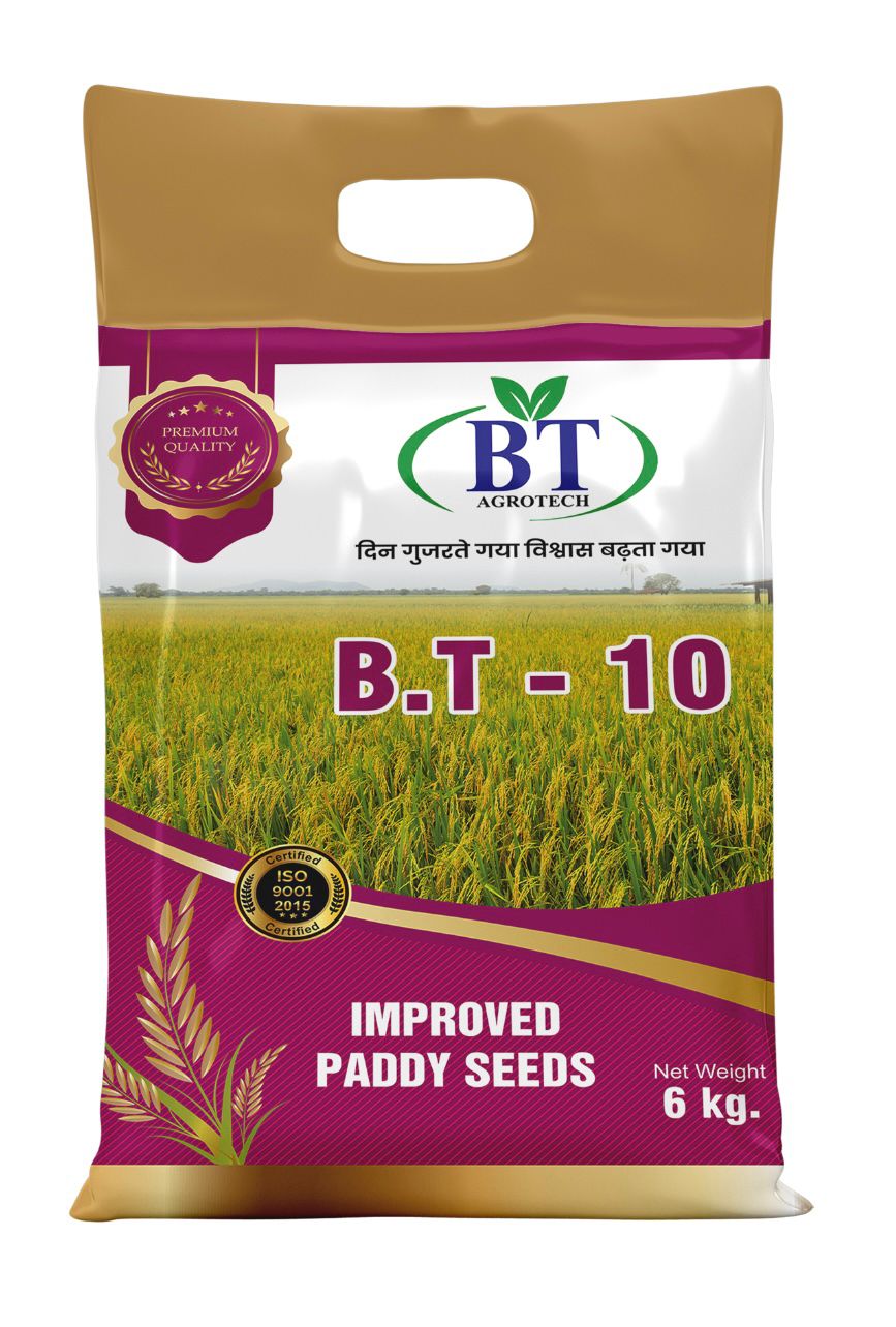 B.T-10